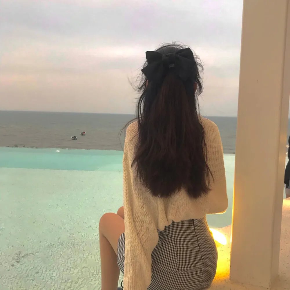 将军的儿子2 海报