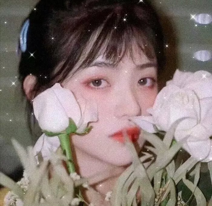 又见牡丹亭 海报